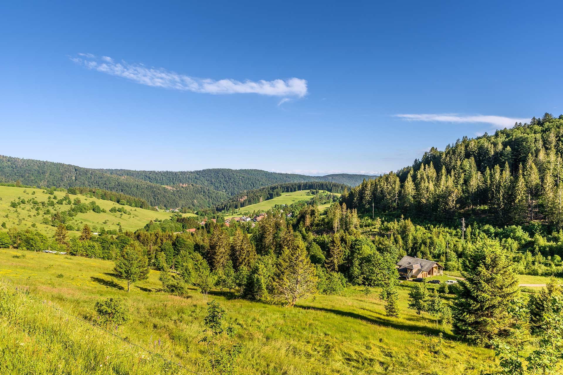 Schwarzwald